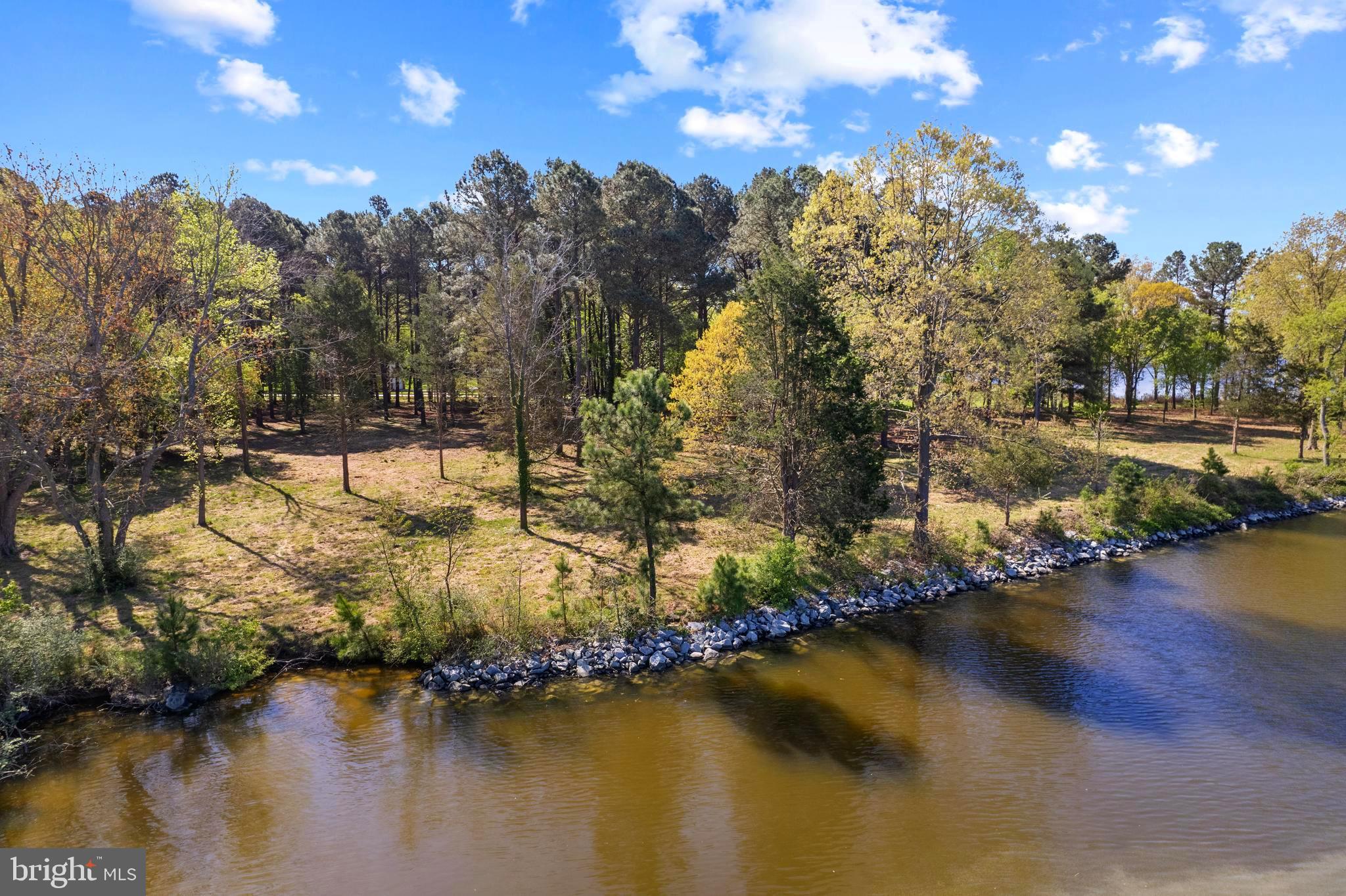 Travelers Rest Road Easton, MD 21601 - Photo 18 of 20 Lot has 5 ft MLW (mean low water)