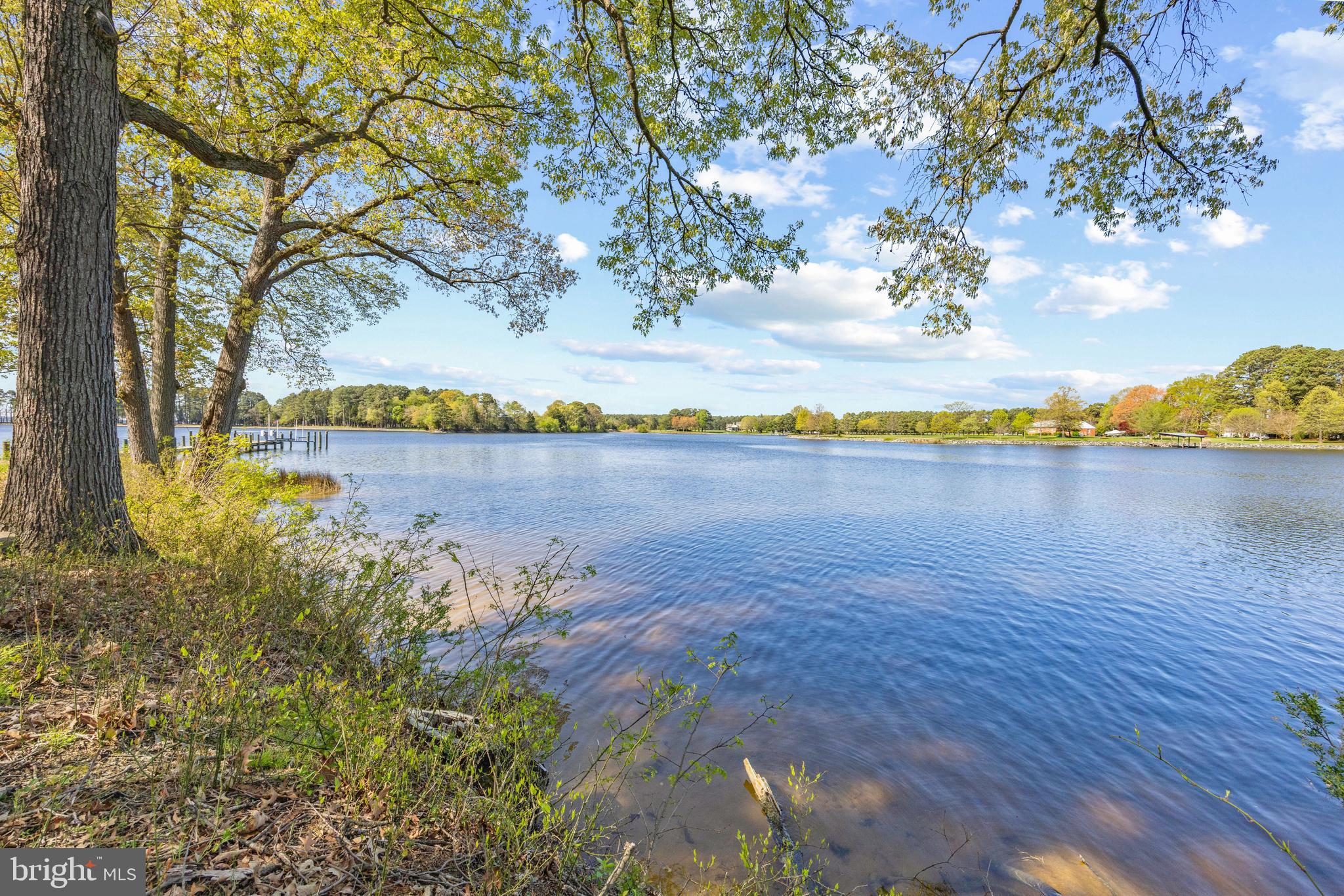 Travelers Rest Road Easton, MD 21601 - Photo 20 of 20 Portion of 541 ft of waterfront