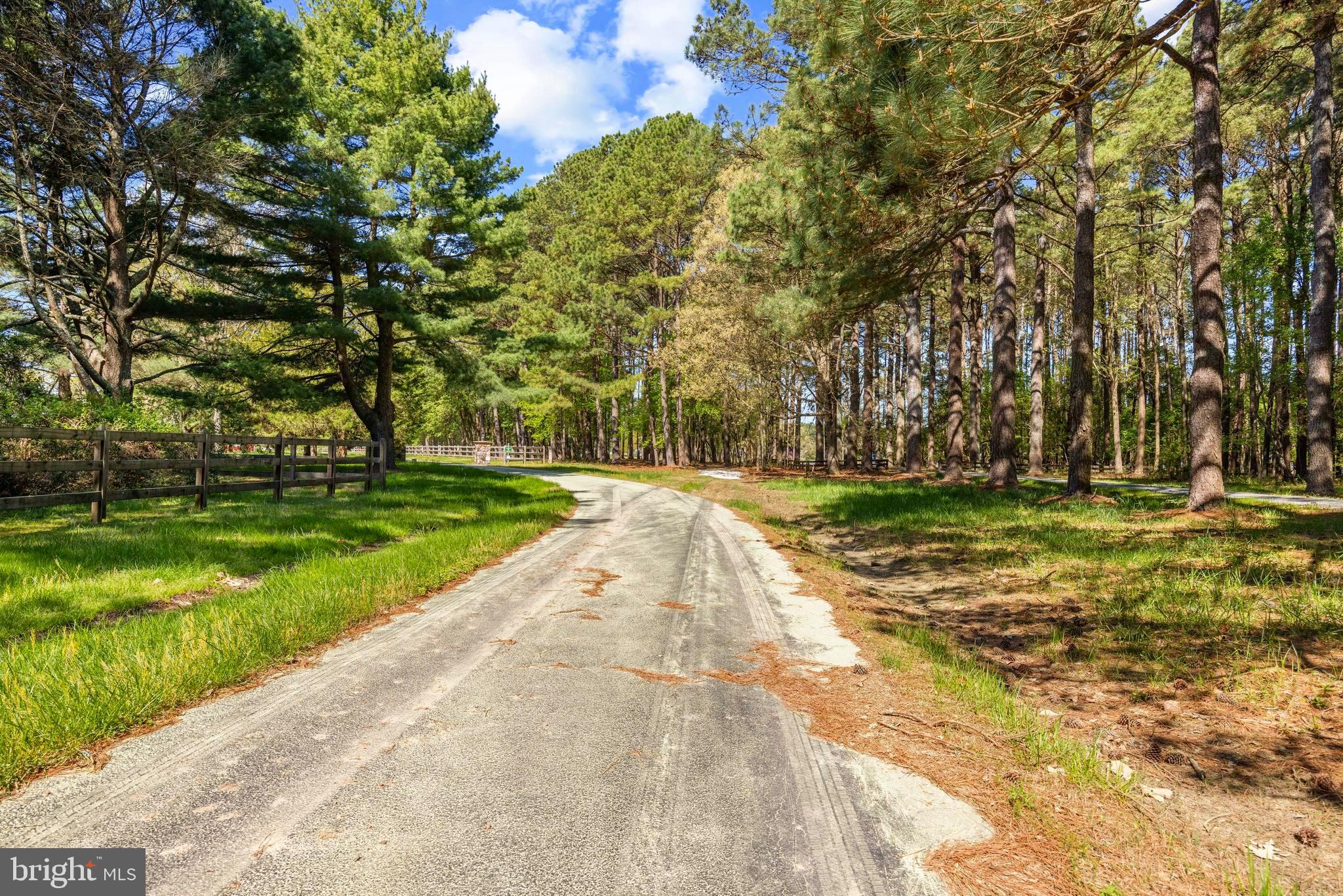 Travelers Rest Road Easton, MD 21601 - Photo 9 of 20 About to turn on entrance to Lot 40.