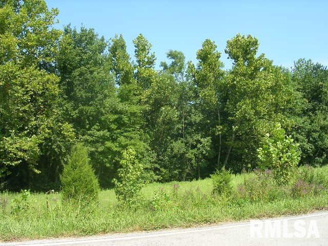 0 Belknap Road Belknap, IL 62908 - Photo 3 of 4