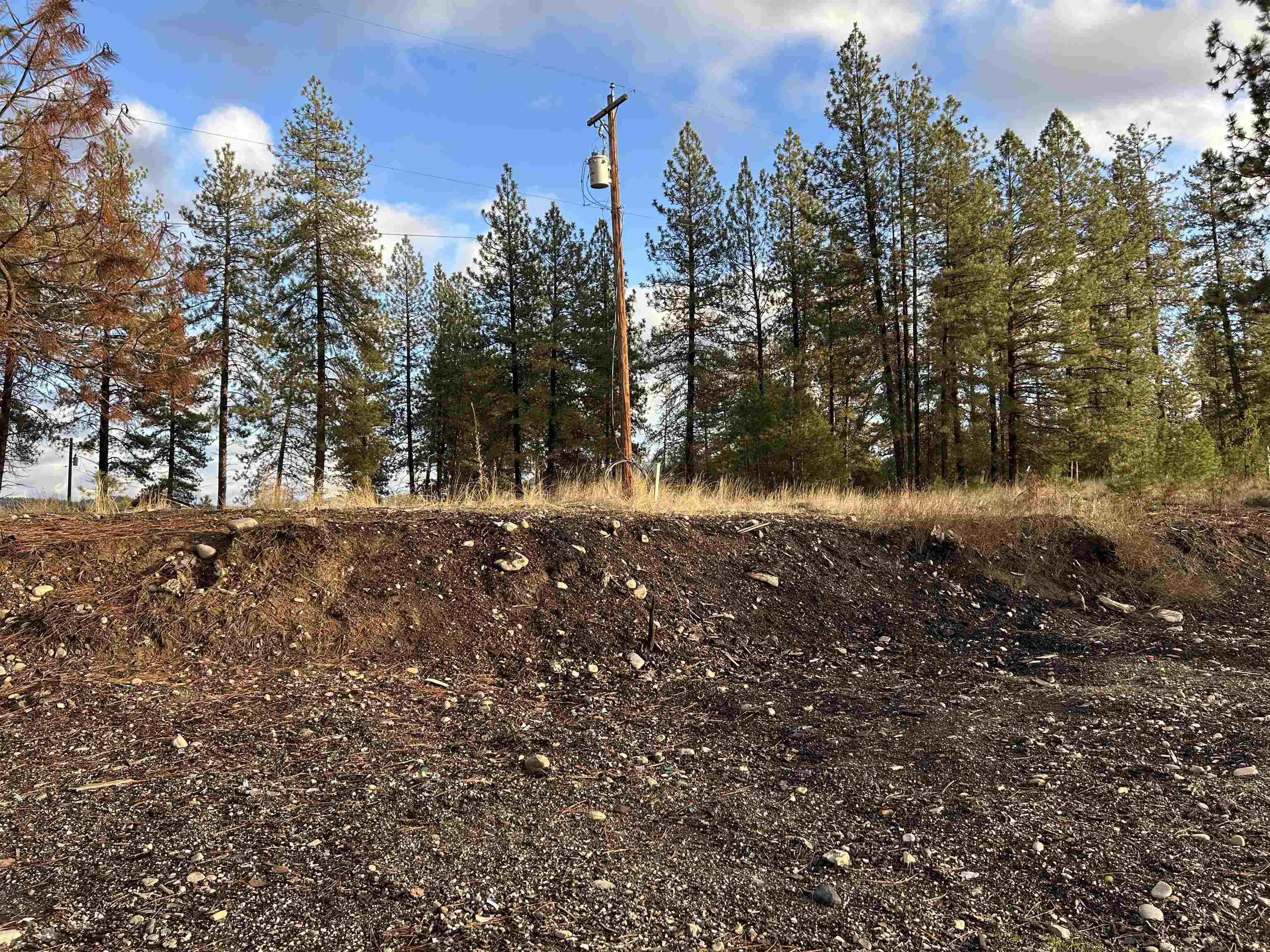 4256 Highway 231 Springdale, WA 99173 - Photo 2 of 20