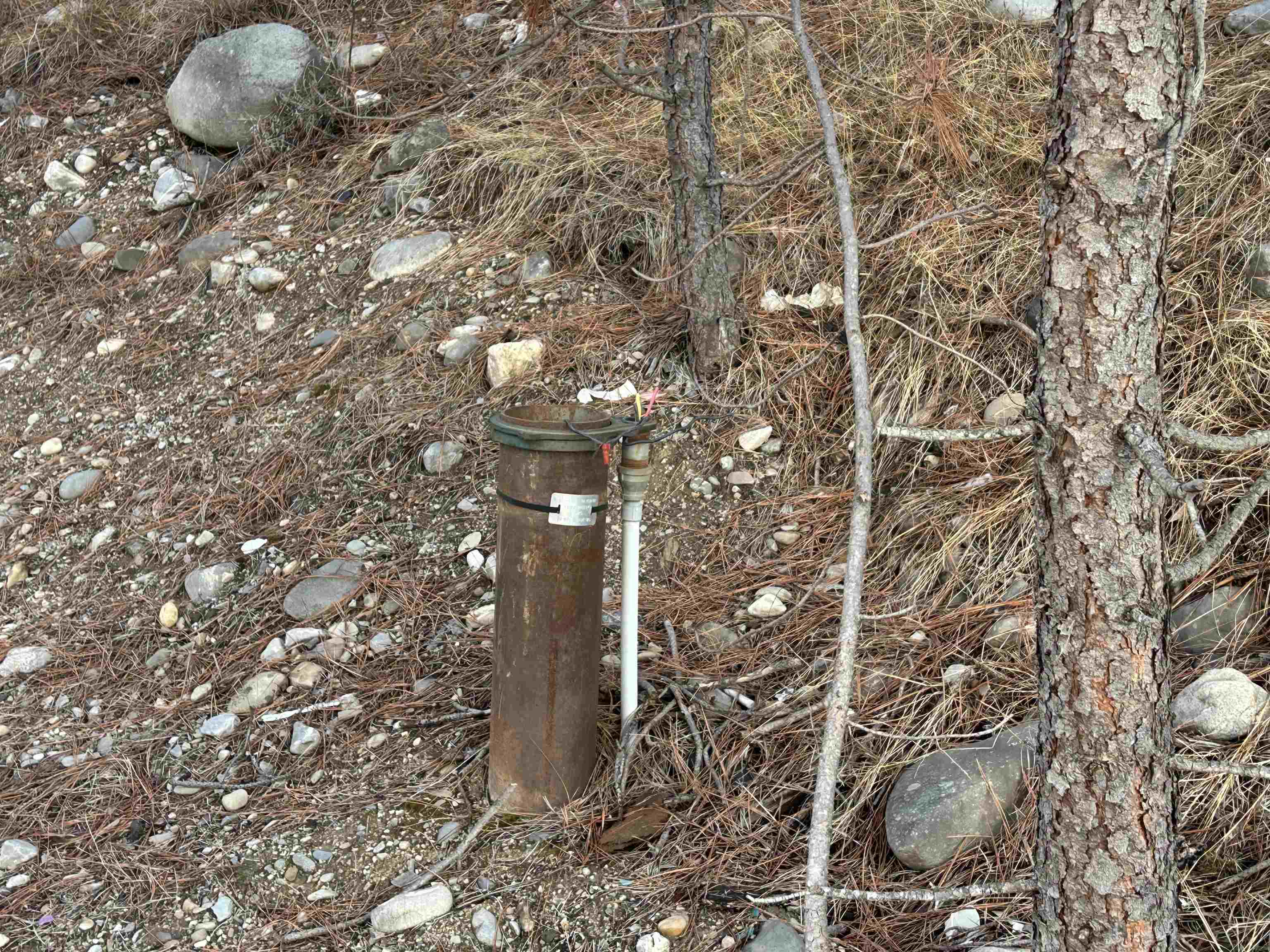 4256 Highway 231 Springdale, WA 99173 - Photo 3 of 20