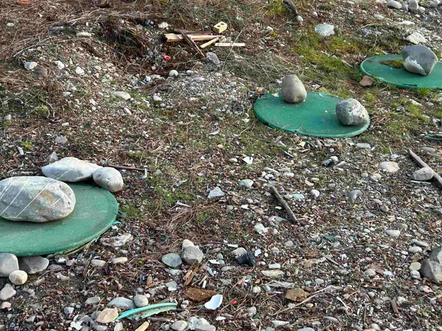 $109,000 | 4256 Highway 231, Springdale, WA 99173