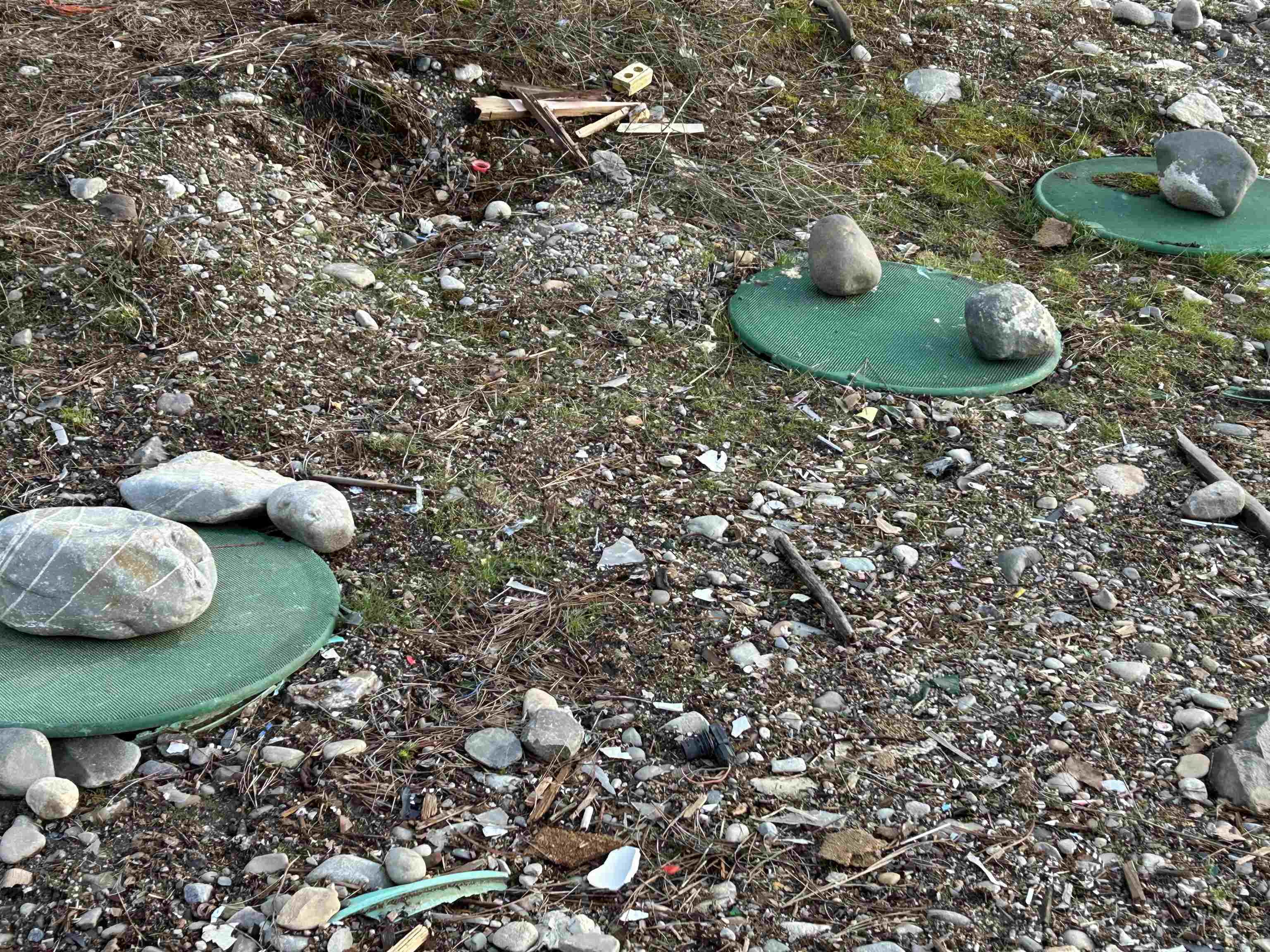 4256 Highway 231 Springdale, WA 99173 - Photo 4 of 20