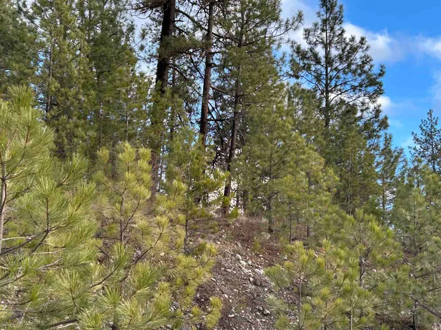 $109,000 | 4256 Highway 231, Springdale, WA 99173