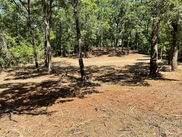 a view of a snow on the side of a road