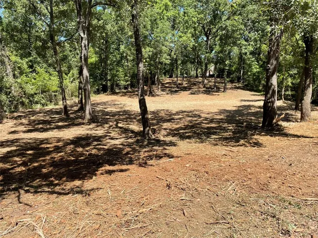 a view of a snow on the road