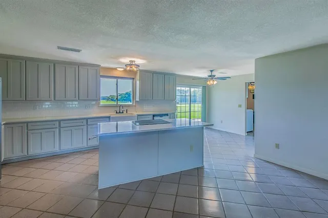 a kitchen with a sink a counter top space and cabinets