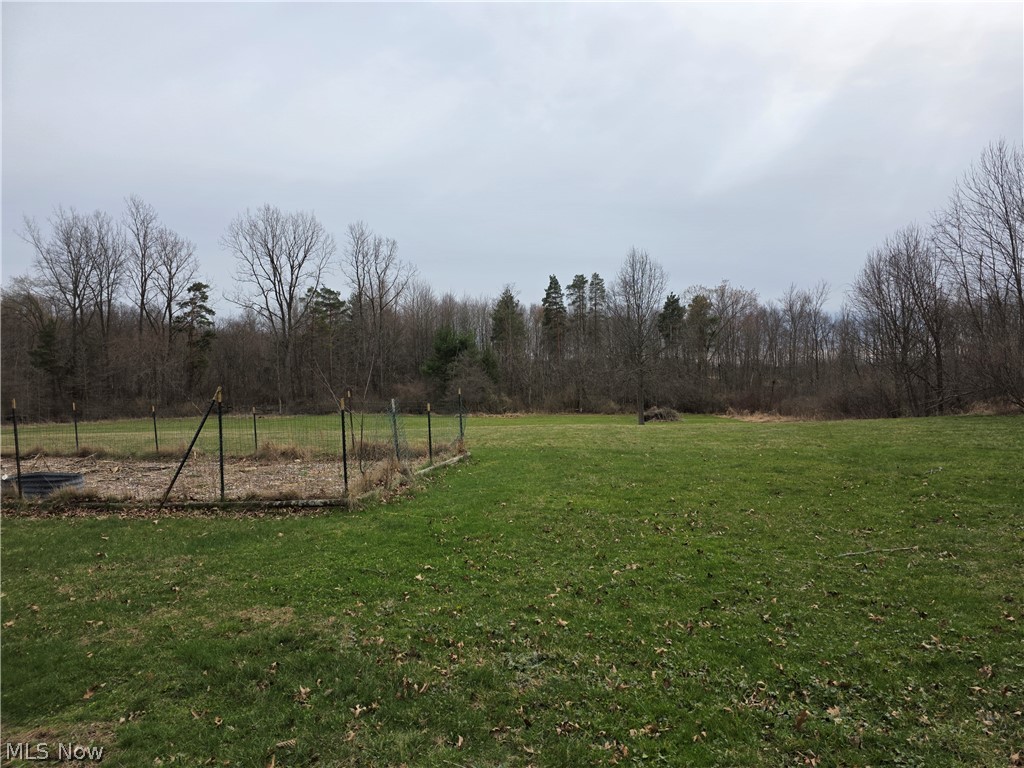 8566 Chatham Road Medina, OH 44256 - Photo 36 of 48 Room for a garden