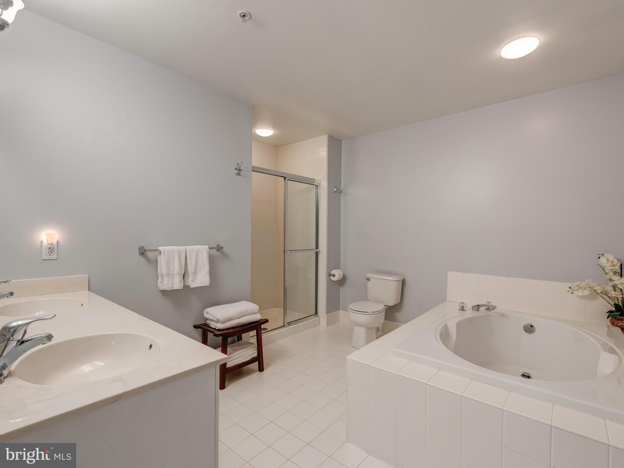 1146 Brian's Way Wayne, PA 19087 - Photo 22 of 34 Soaking Tub & Tiled Shower