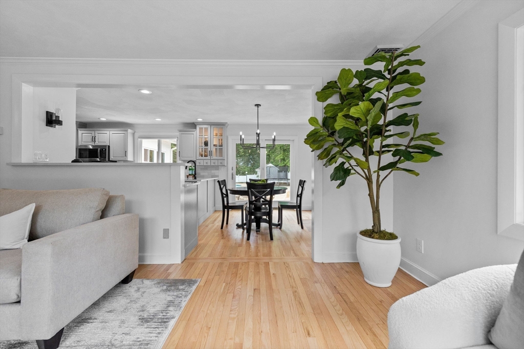 77 Bourque Road Lynnfield, MA 01940 - Photo 6 of 41 a living room with furniture and a potted plant