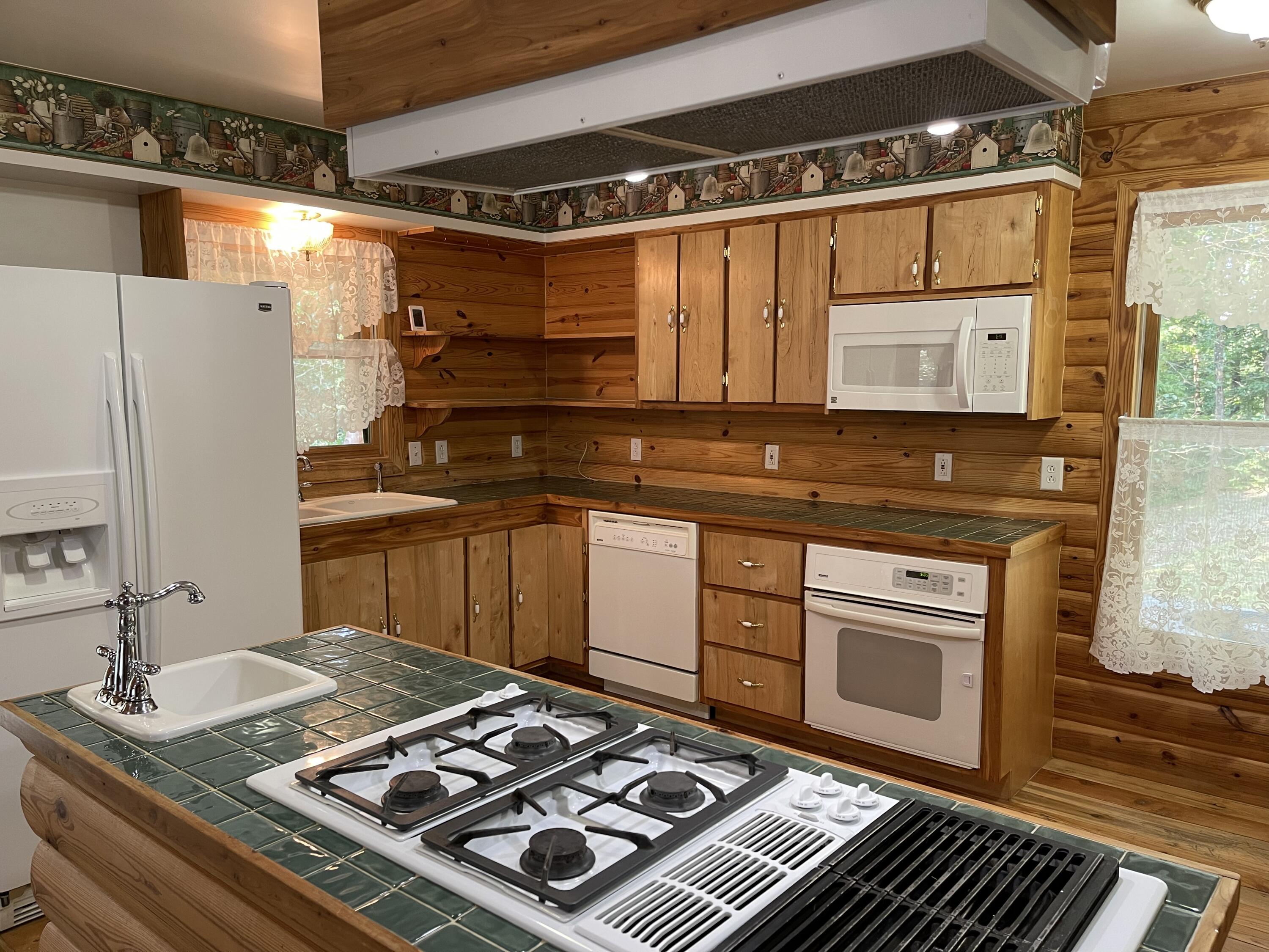 389 McGaha Chapel Road Cosby, TN 37722 - Photo 12 of 40 Kitchen