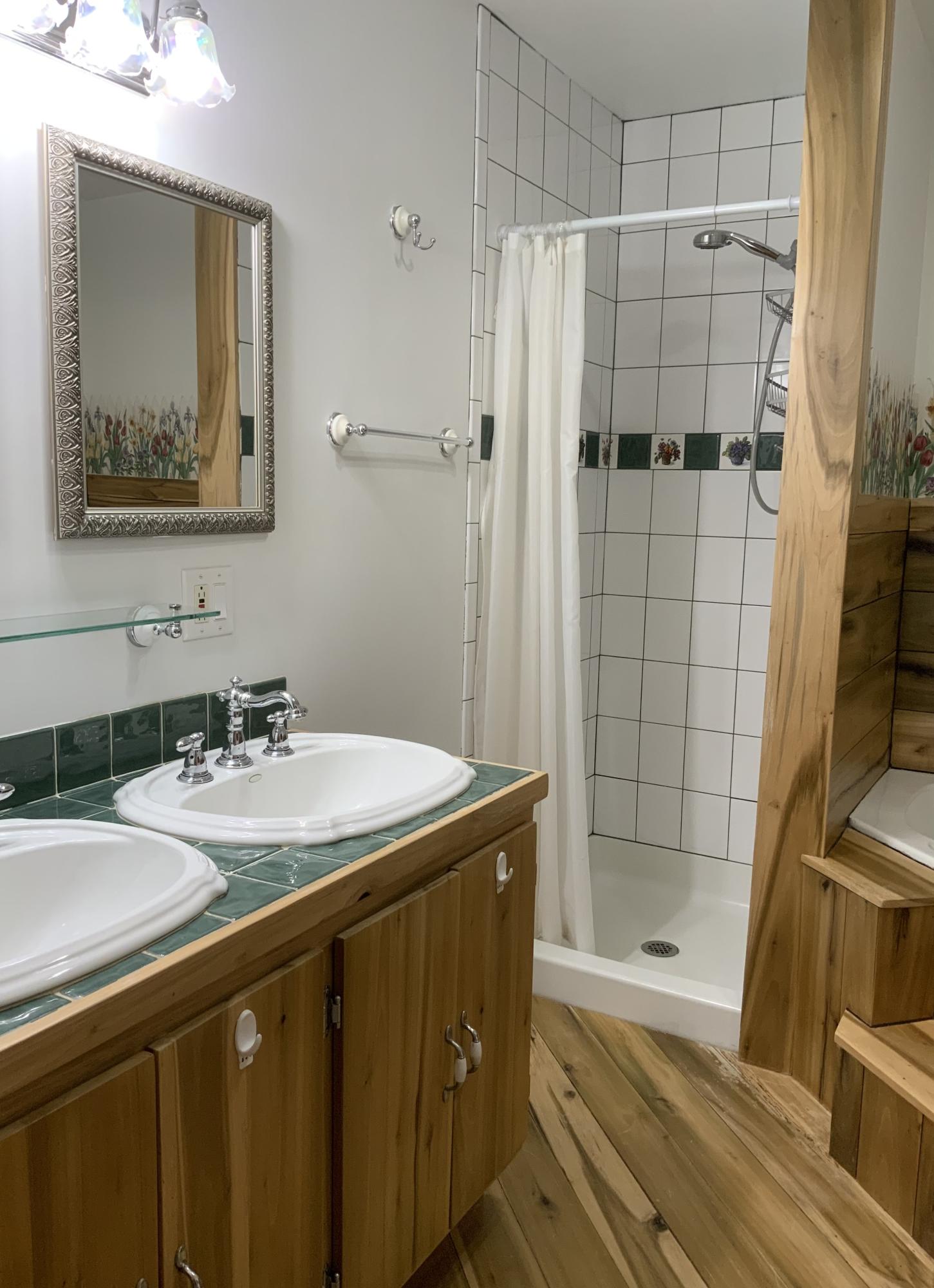 389 McGaha Chapel Road Cosby, TN 37722 - Photo 20 of 40 Master Bath