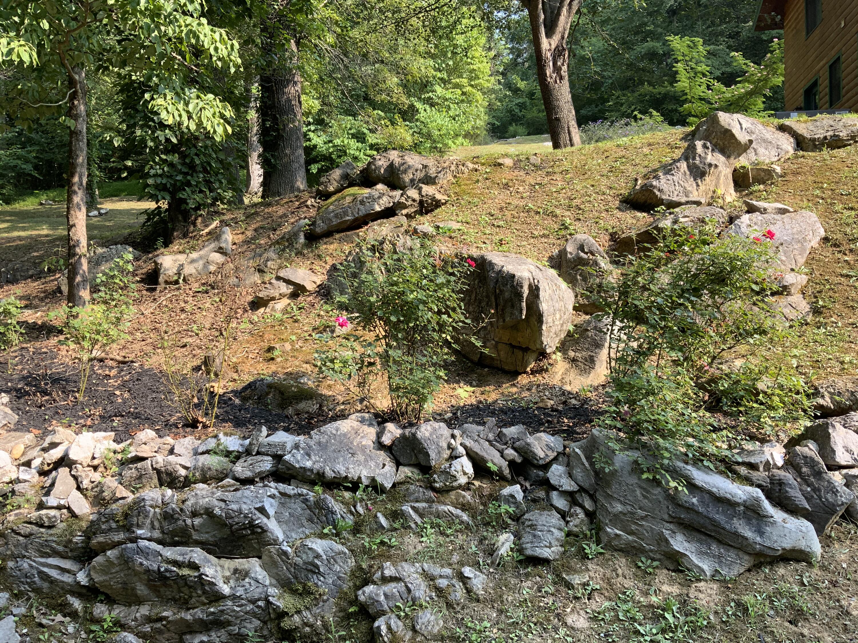 389 McGaha Chapel Road Cosby, TN 37722 - Photo 31 of 40 Yard