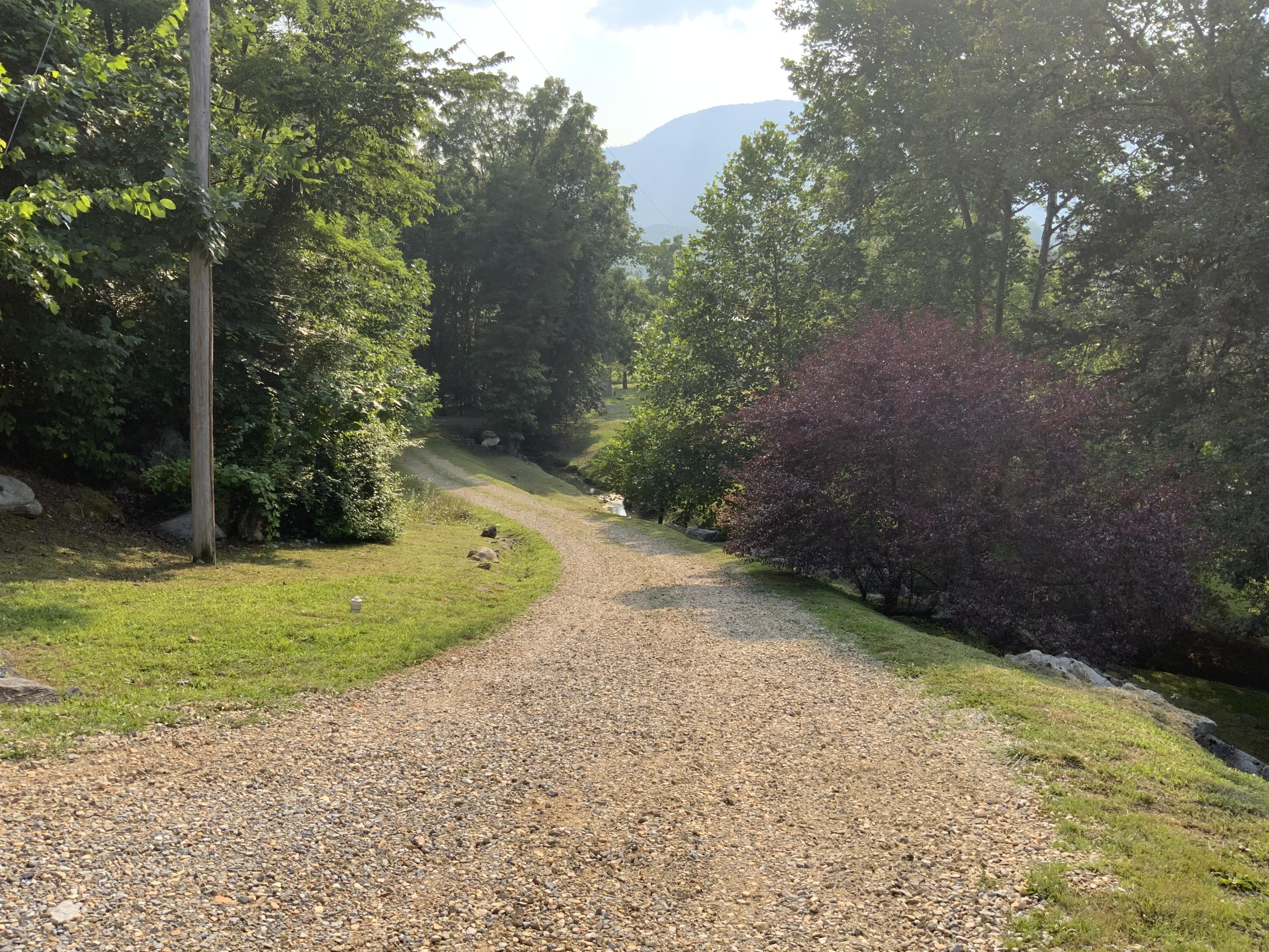 389 McGaha Chapel Road Cosby, TN 37722 - Photo 32 of 40 Driveway