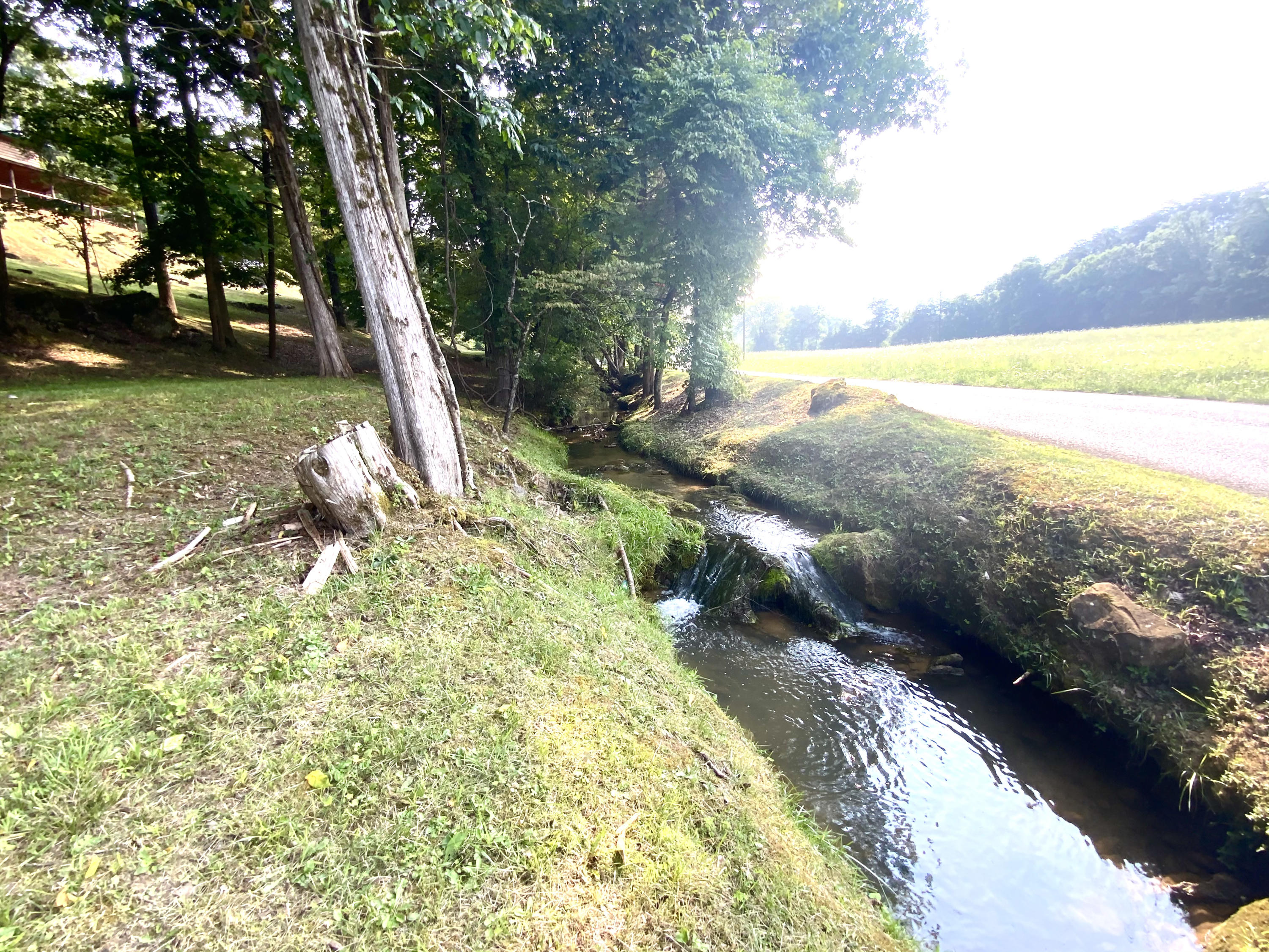 389 McGaha Chapel Road Cosby, TN 37722 - Photo 39 of 40 Creek