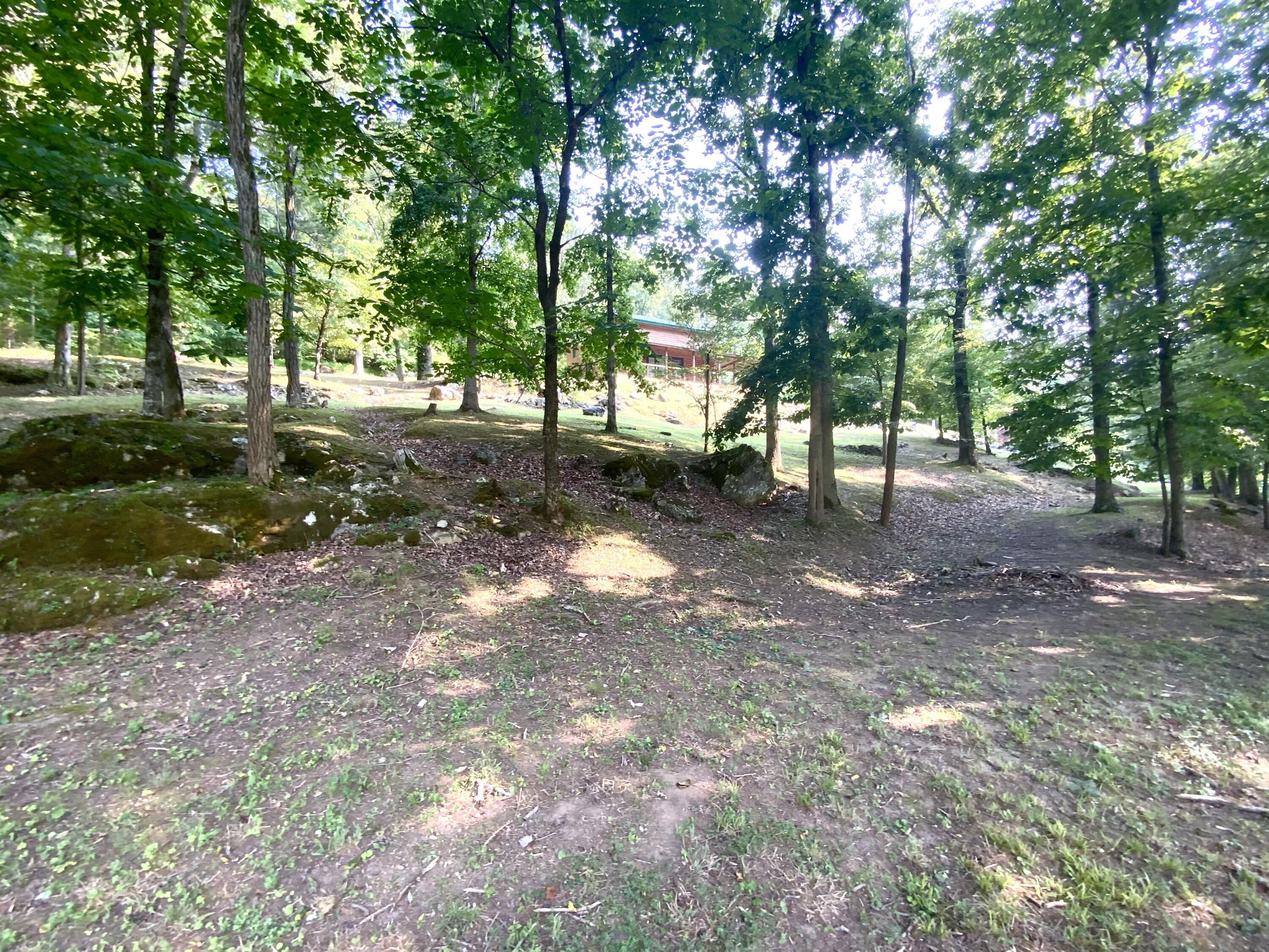 389 McGaha Chapel Road Cosby, TN 37722 - Photo 40 of 40 Yard