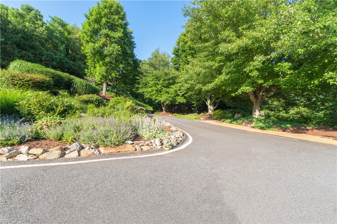 39 Raptor Way Landrum, SC 29356 - Photo 11 of 50 A winding asphalt driveway leads through lush, manicured landscaping under a bright sky.