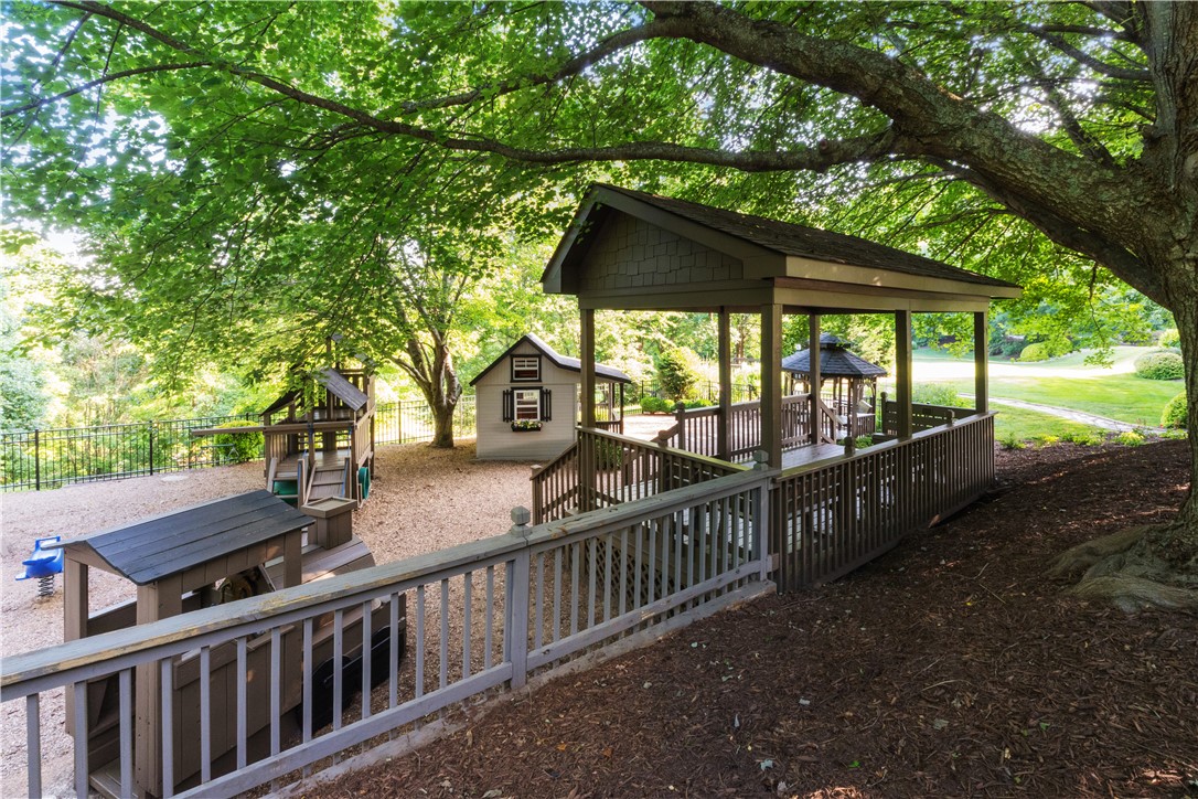39 Raptor Way Landrum, SC 29356 - Photo 17 of 50 This spacious yard features a charming play area, perfect for outdoor enjoyment and recreation.