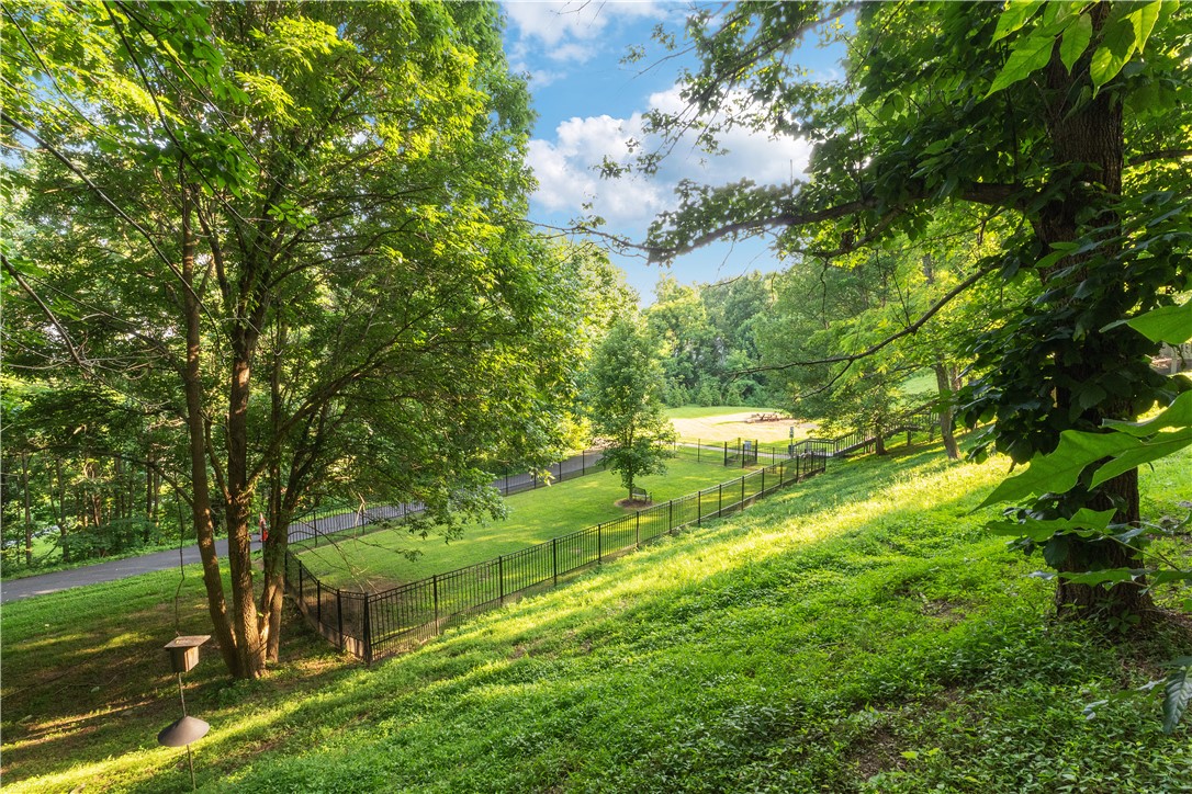 39 Raptor Way Landrum, SC 29356 - Photo 19 of 50 This verdant outdoor space features a lush lawn and secure fencing, perfect for recreation.