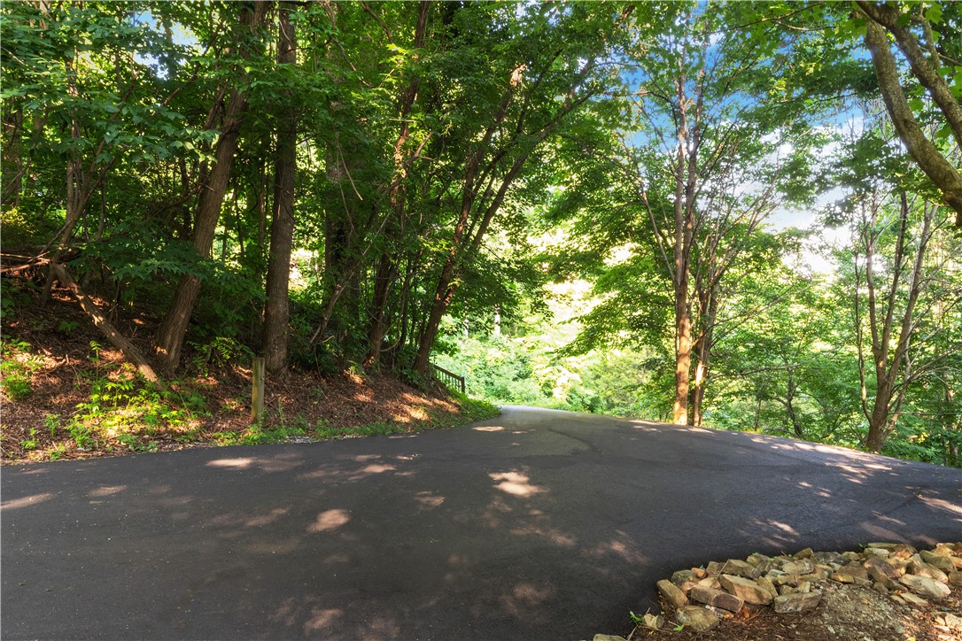 39 Raptor Way Landrum, SC 29356 - Photo 21 of 50 A winding asphalt driveway leads through a verdant, tree-lined landscape.