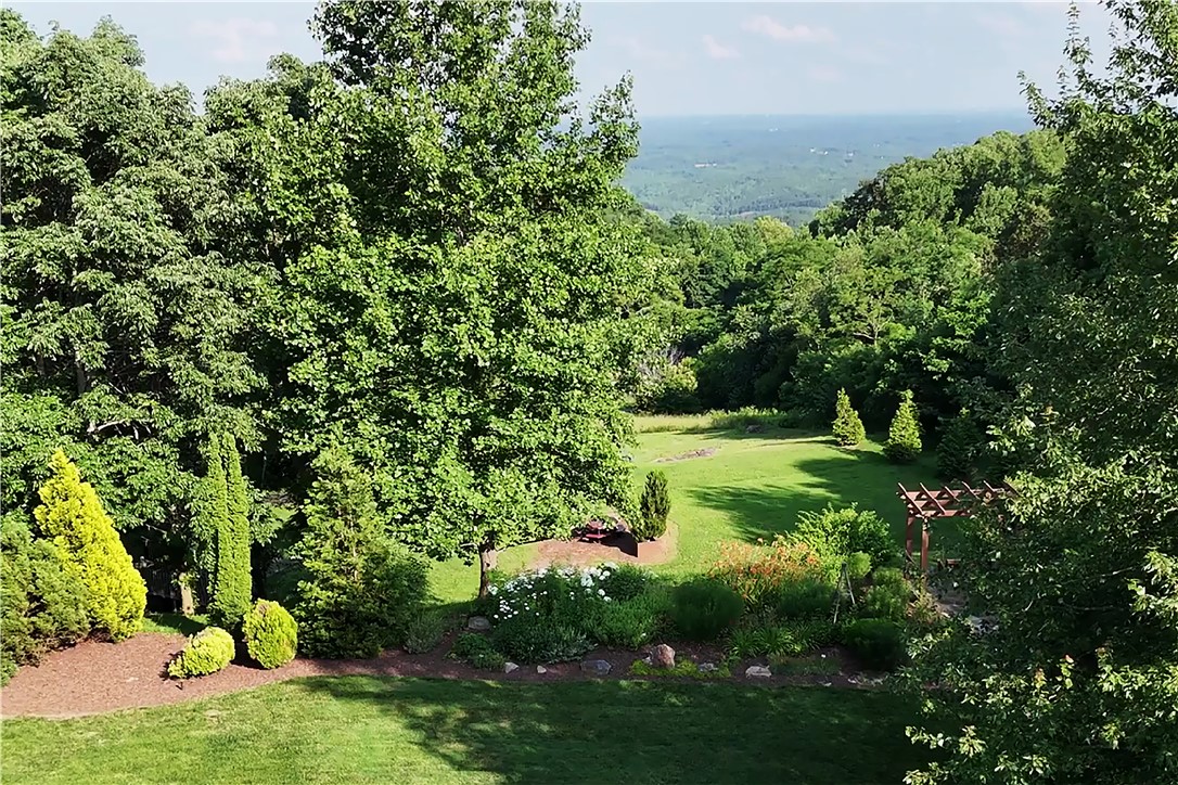 39 Raptor Way Landrum, SC 29356 - Photo 22 of 50 This expansive yard offers a peaceful retreat with lush greenery and distant mountain views.