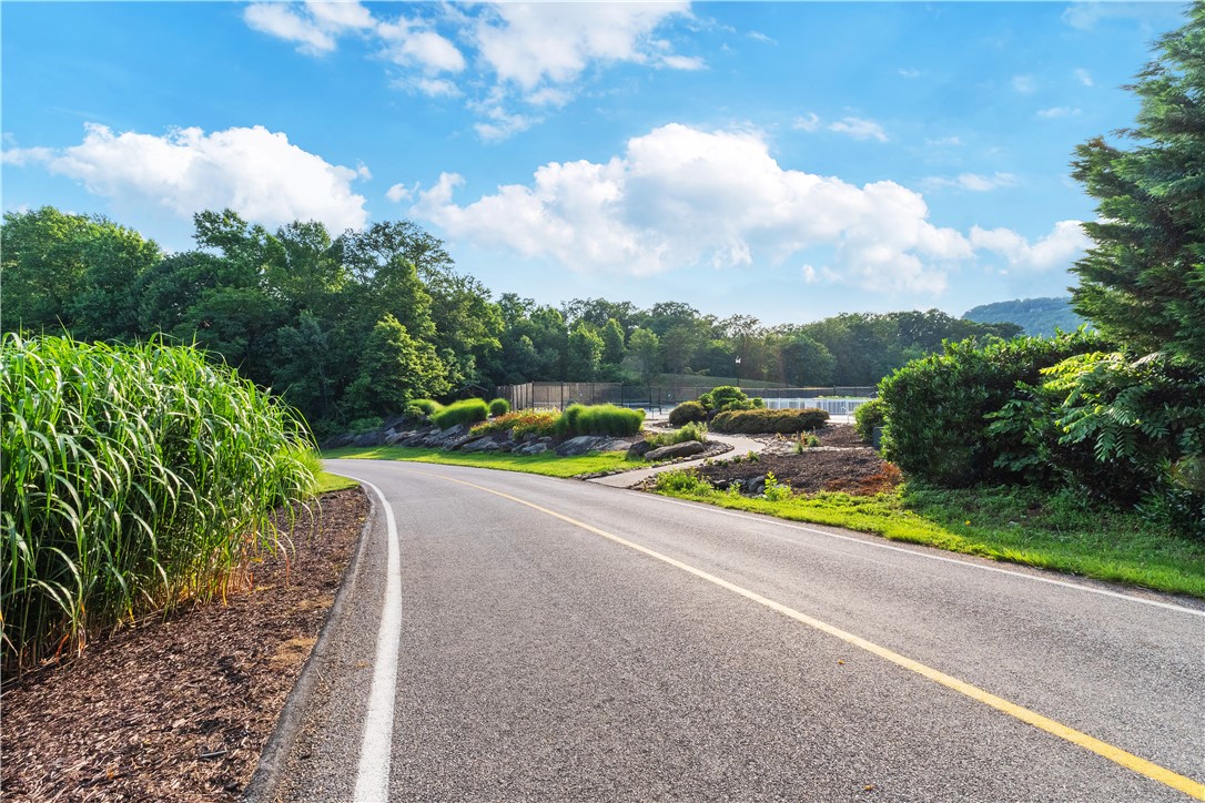 39 Raptor Way Landrum, SC 29356 - Photo 26 of 50 A winding road leads through lush greenery under a bright sky.