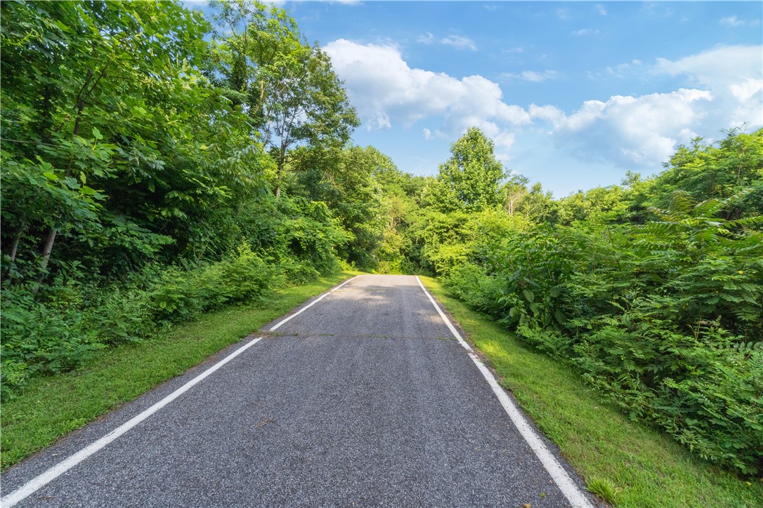 39 Raptor Way Landrum, SC 29356 - Photo 27 of 50 A tranquil asphalt road winds through a lush, verdant landscape under a bright blue sky.