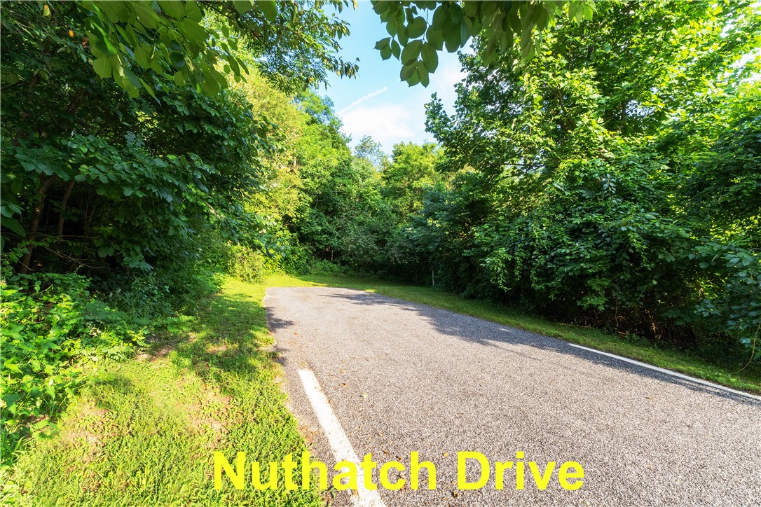 39 Raptor Way Landrum, SC 29356 - Photo 28 of 50 A tranquil, tree-lined road offers a secluded retreat amidst lush greenery.