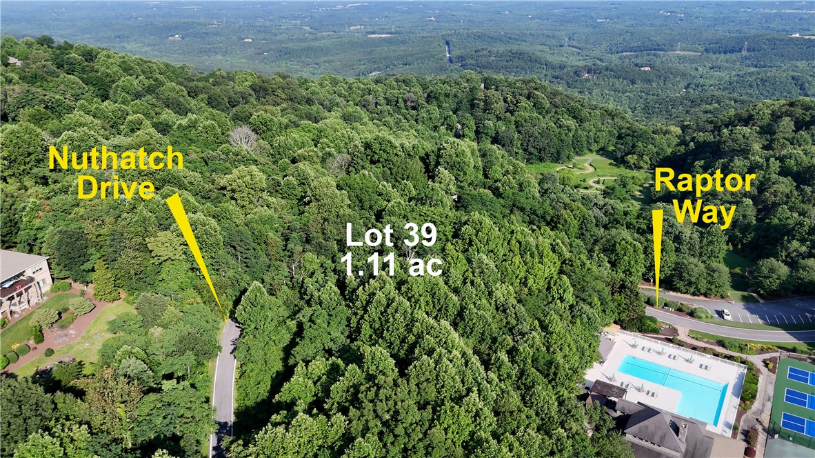 39 Raptor Way Landrum, SC 29356 - Photo 3 of 50 An aerial view captures a spacious, wooded lot, perfectly situated for building a dream home.