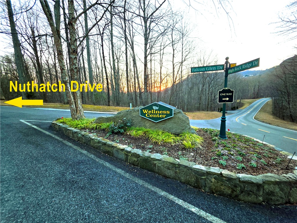 39 Raptor Way Landrum, SC 29356 - Photo 33 of 50 Navigate easily to your destination with clear community signage and well-maintained roads.