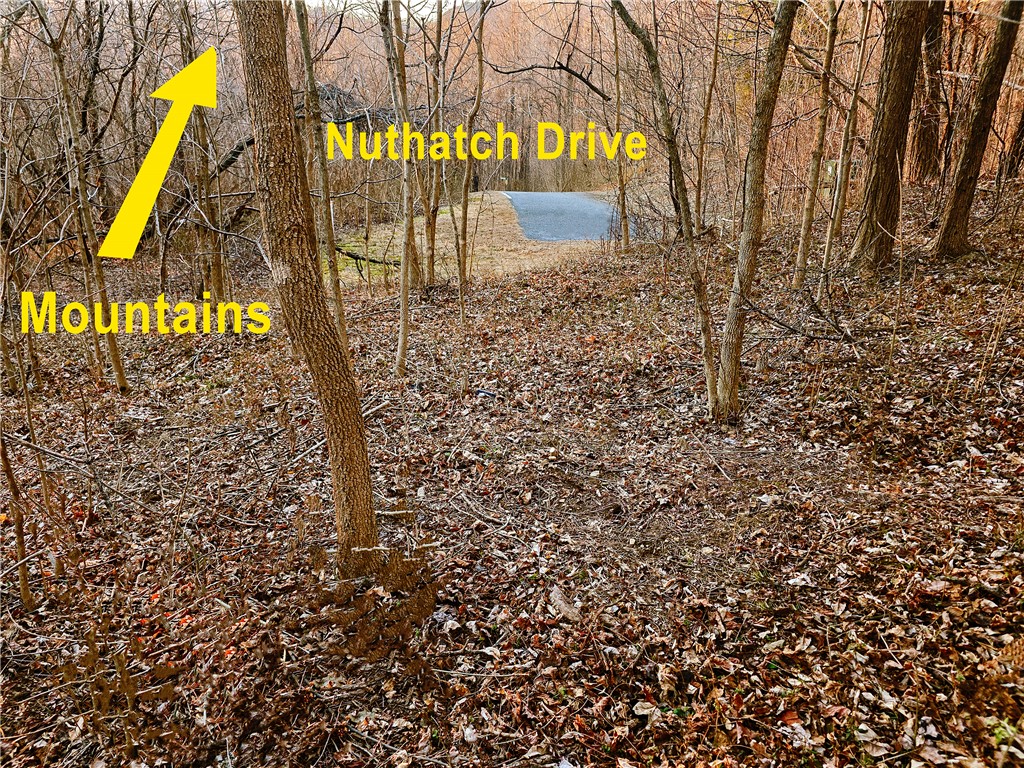 39 Raptor Way Landrum, SC 29356 - Photo 35 of 50 A tranquil wooded lot offers a private escape, leading to Nuthatch Drive.