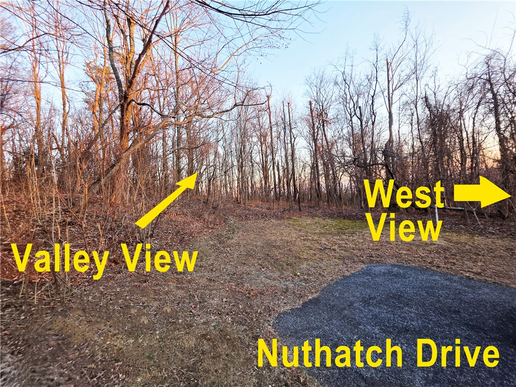 39 Raptor Way Landrum, SC 29356 - Photo 36 of 50 This undeveloped land parcel offers an opportunity for building in a natural setting.