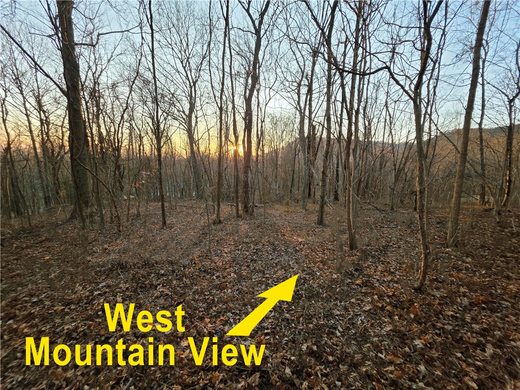 39 Raptor Way Landrum, SC 29356 - Photo 37 of 50 This scenic wooded lot offers captivating mountain views and abundant natural beauty.