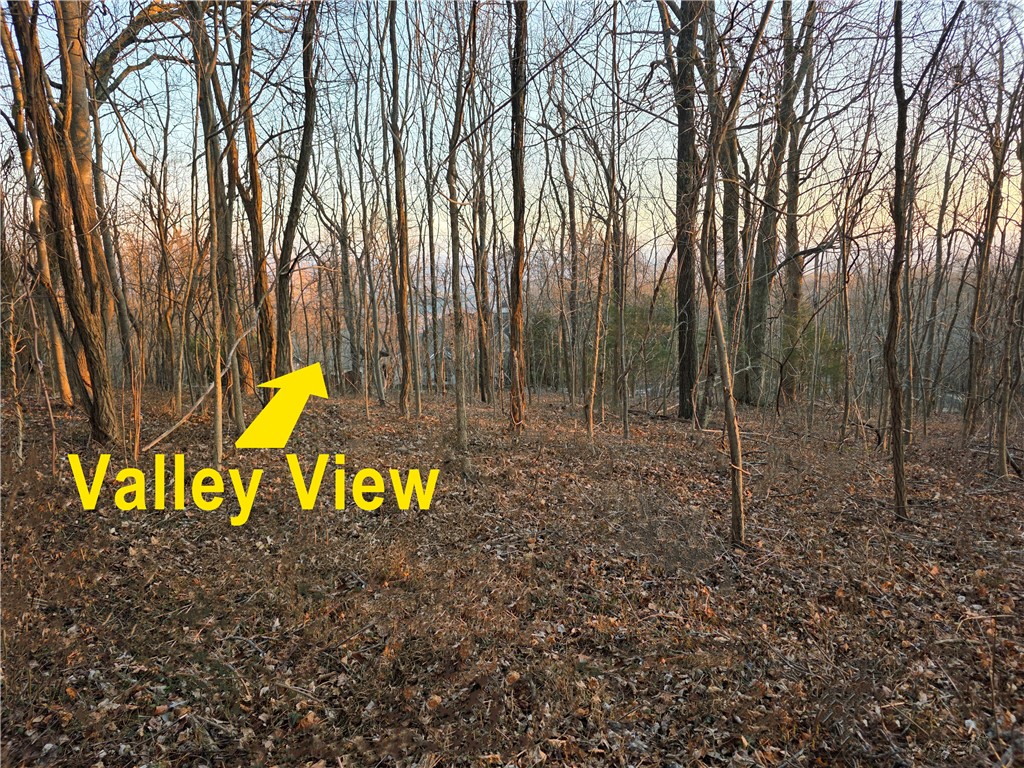 39 Raptor Way Landrum, SC 29356 - Photo 38 of 50 This scenic wooded lot offers a tranquil escape with captivating valley vistas.