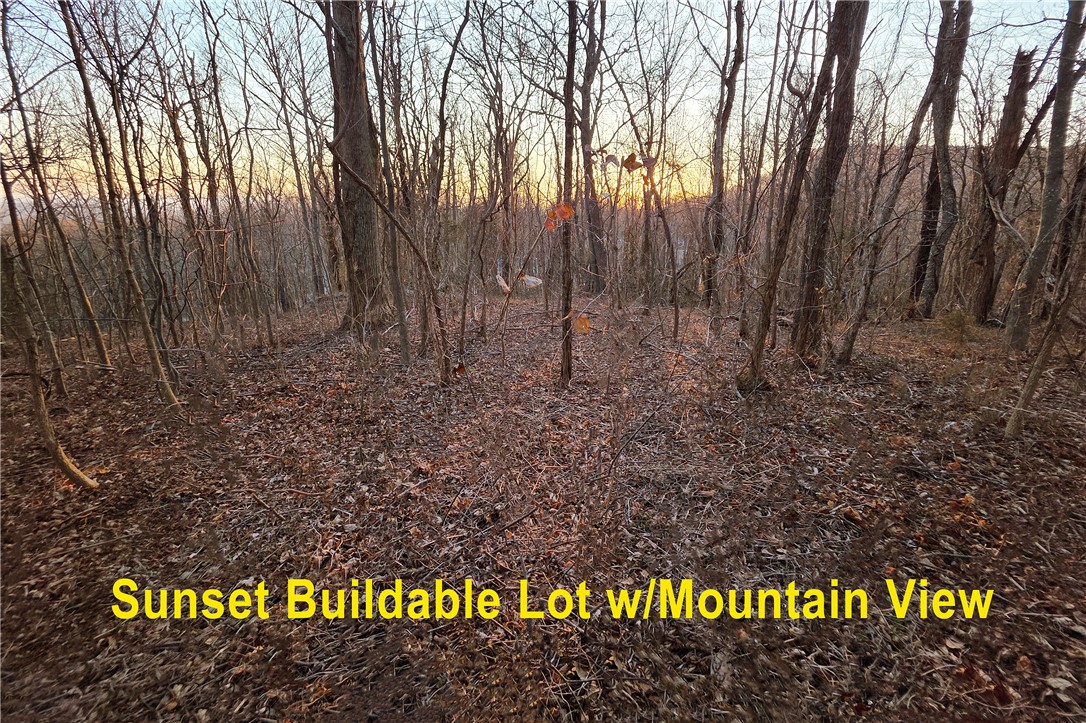 39 Raptor Way Landrum, SC 29356 - Photo 39 of 50 This secluded lot offers peaceful mountain vistas, perfect for building your private retreat.
