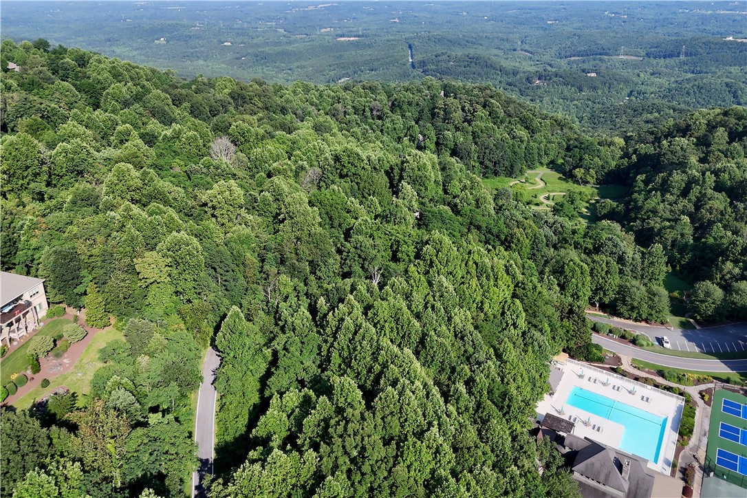 39 Raptor Way Landrum, SC 29356 - Photo 4 of 50 This elevated view captures the lush landscape, offering scenic vistas and recreational amenities.