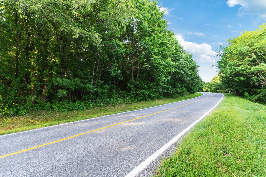 39 Raptor Way Landrum, SC 29356 - Photo 6 of 50 A picturesque road winds through lush greenery under a clear blue sky.