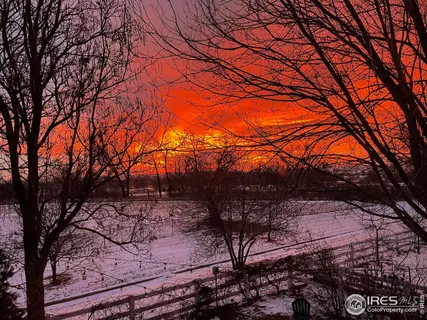 a view of outdoor space yard and patio