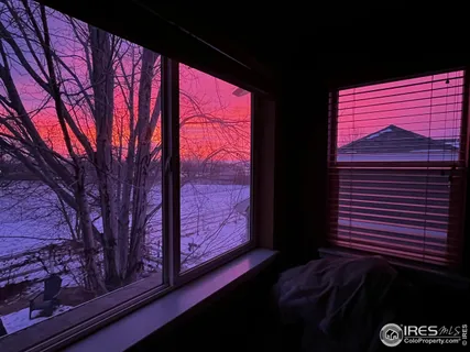 a view of a yard with fountain