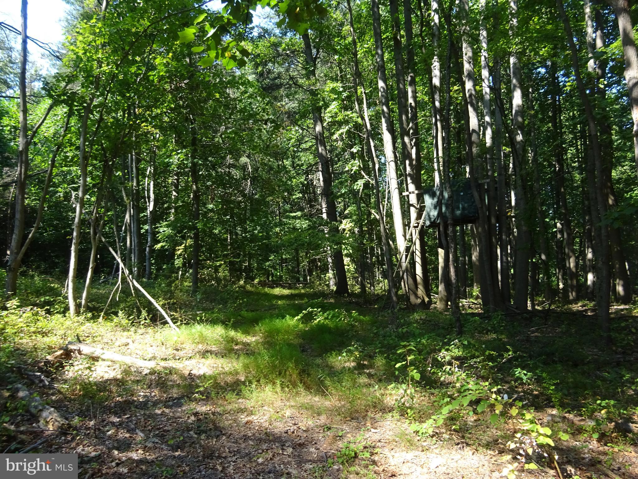 2291 Morgantown Road Reading, PA 19607 - Photo 73 of 75 Back Parcel Path