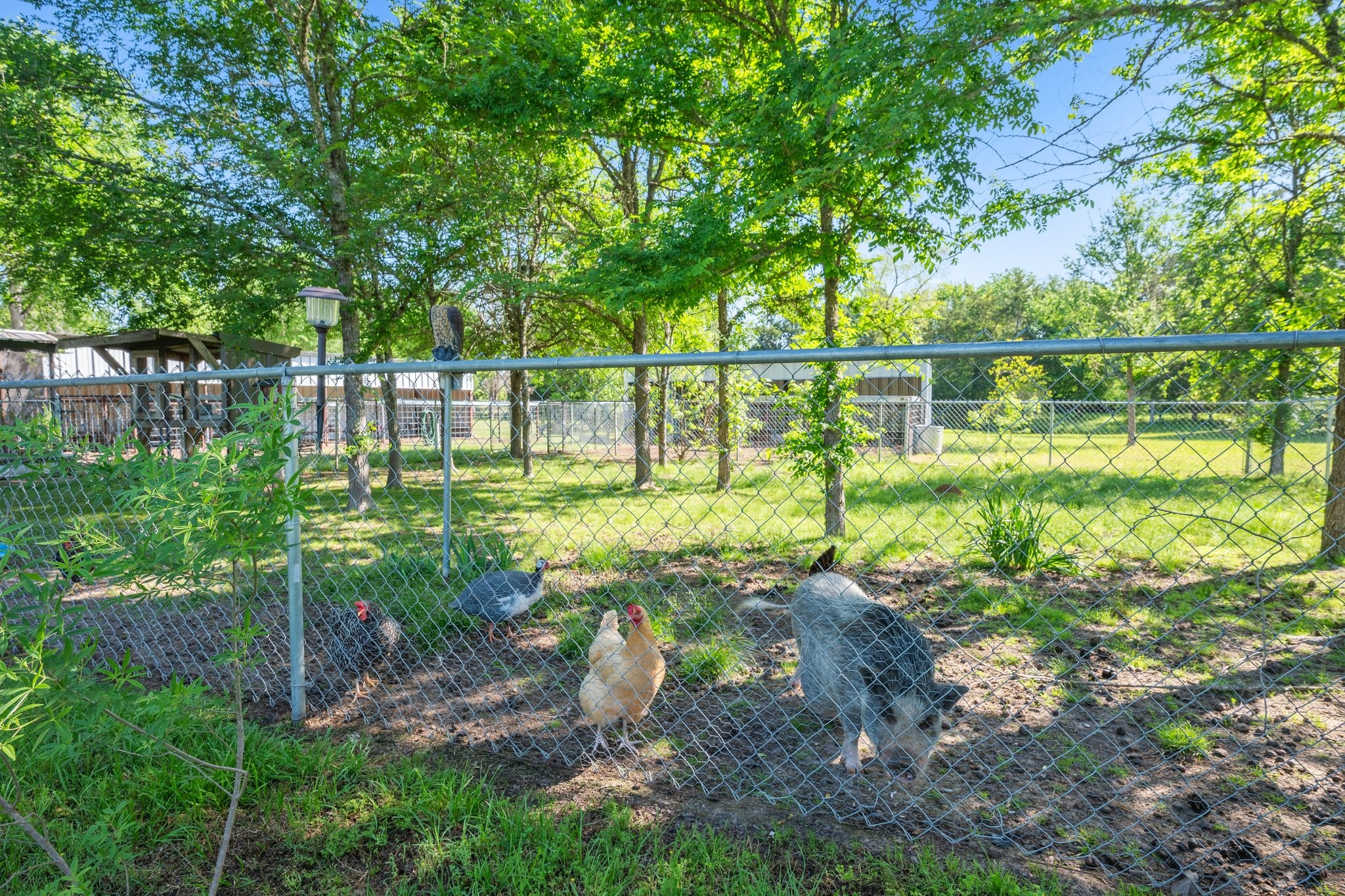 7754 Edge Cut Off Road Hearne, TX 77859 - Photo 41 of 50 a garden view with a lake view