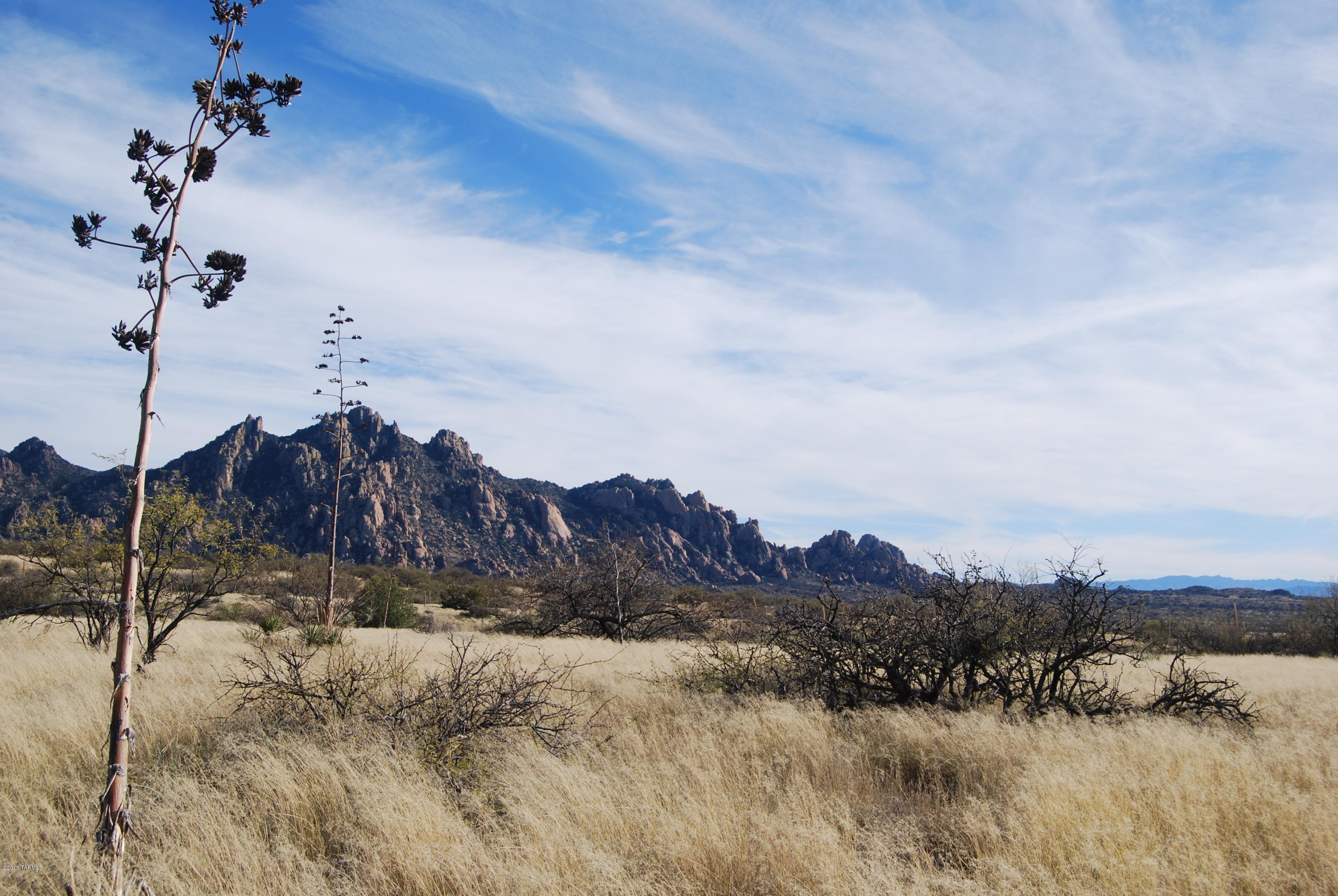 East Diamondback Road St. David, AZ 85630 - Photo 19 of 32