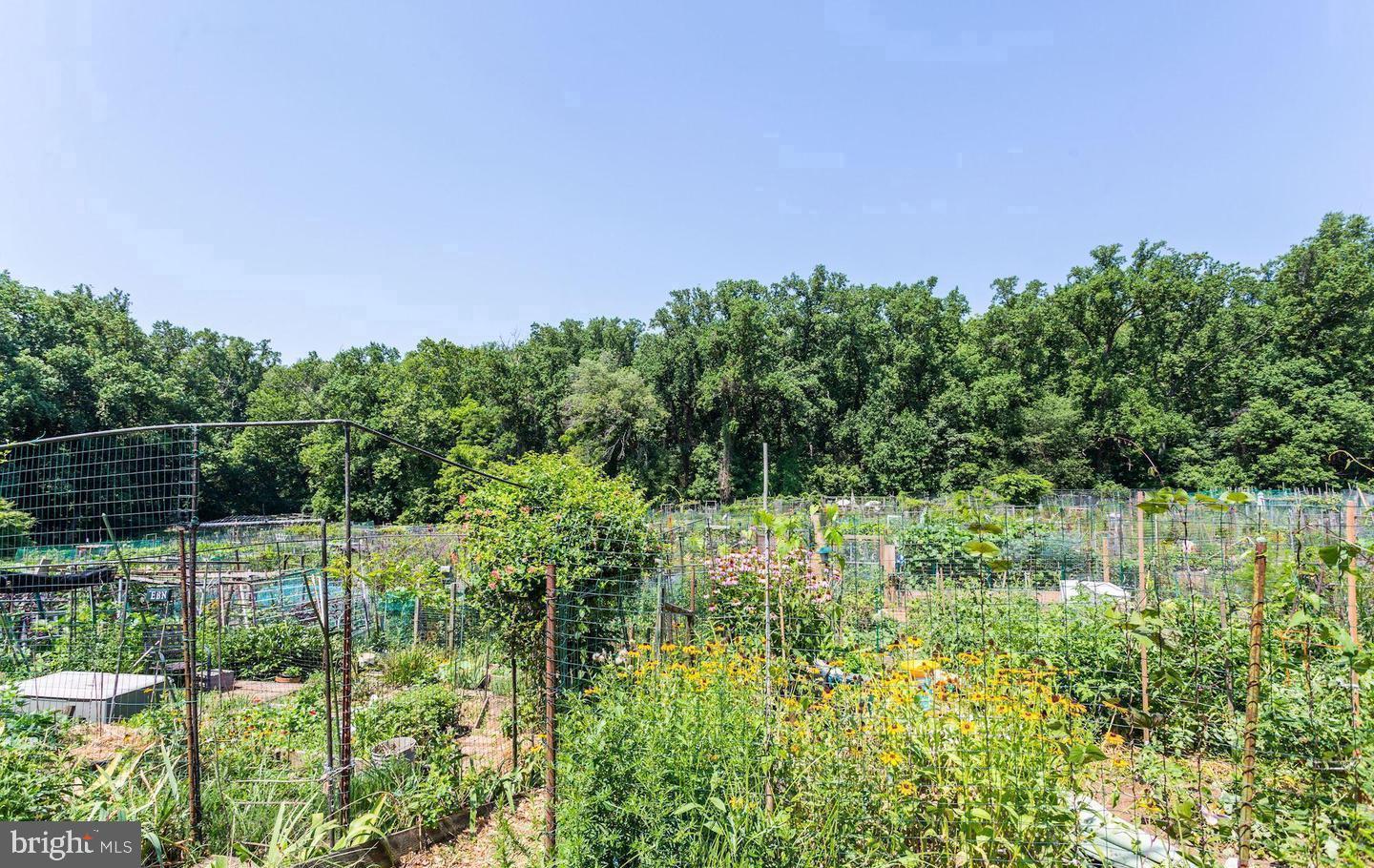 2725 39th Street Northwest, Unit 201 Washington, DC 20007 - Photo 36 of 40 Community Garden