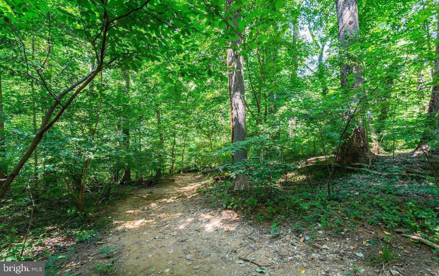 2725 39th Street Northwest, Unit 201 Washington, DC 20007 - Photo 37 of 40 Nearby Trails