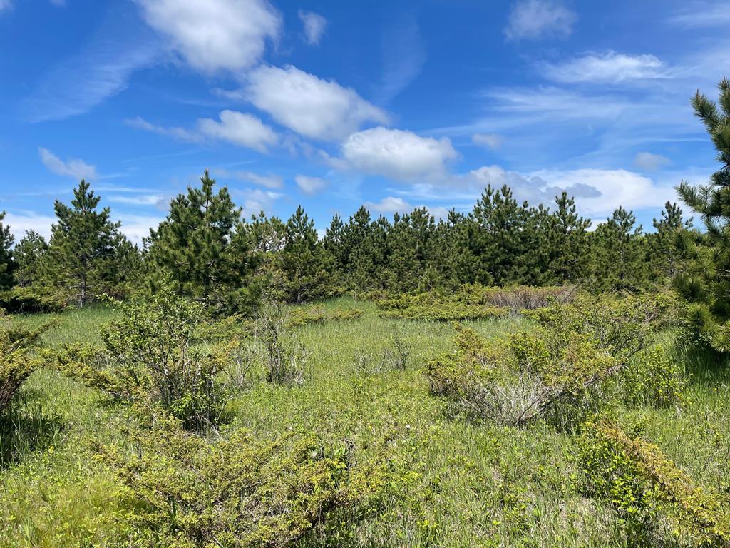 Tbd West Meadow Road Fish Creek, WI 54212 - Photo 10 of 10