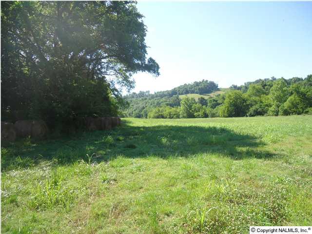 0 McBurg Road Frankewing, TN 38459 - Photo 1 of 17 Nice cattle farm with tillable and hay land plus some woods.
