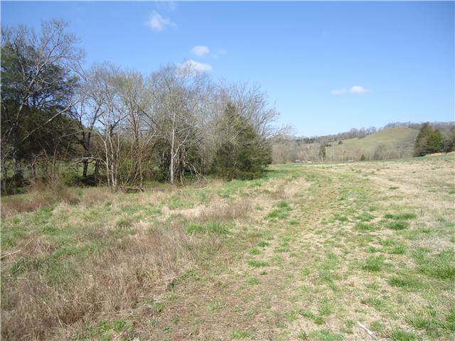 0 McBurg Road Frankewing, TN 38459 - Photo 11 of 17 Gallery Image 11