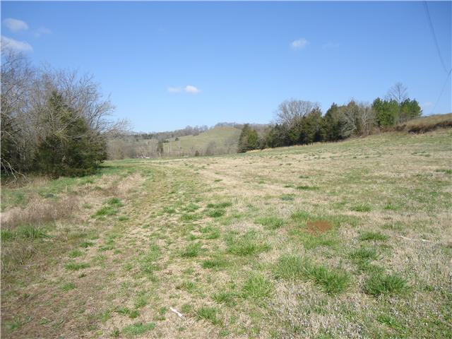 0 McBurg Road Frankewing, TN 38459 - Photo 12 of 17 Gallery Image 12