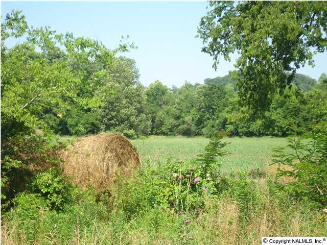0 McBurg Road Frankewing, TN 38459 - Photo 15 of 17 Great hay land.
